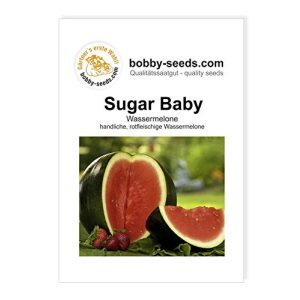 Wassermelonen-Samen Gärtner’s erste Wahl! bobby-seeds.com