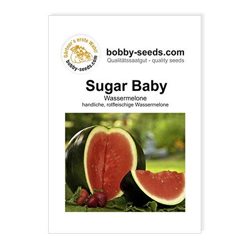 Wassermelonen-Samen Gärtner’s erste Wahl! bobby-seeds.com