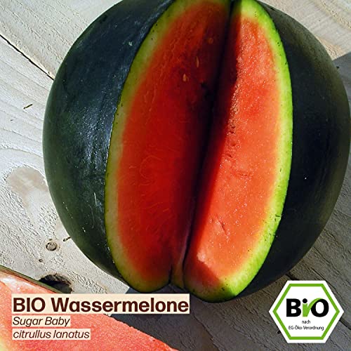 Wassermelonen-Samen Samenliebe BIO Sugar Baby, 10 Samen