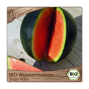 Wassermelonen-Samen Samenliebe BIO Sugar Baby, 10 Samen