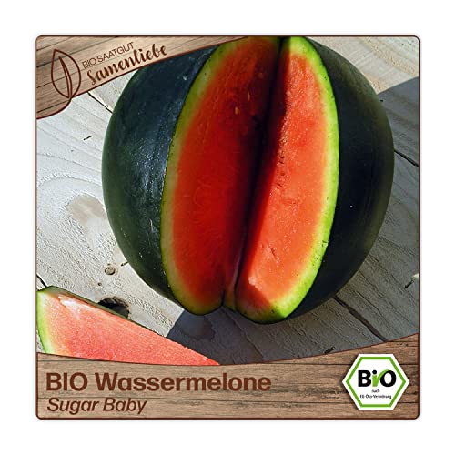 Die beste wassermelonen samen samenliebe bio sugar baby 10 samen Bestsleller kaufen