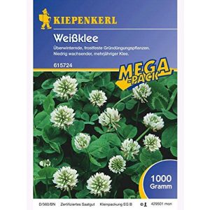 Weißklee-Samen Kiepenkerl – sonstiges Saatgut Weissklee, 1kg