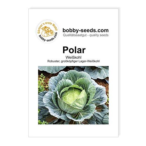 Weißkohl-Samen Gärtner’s erste Wahl! bobby-seeds.com, Polar
