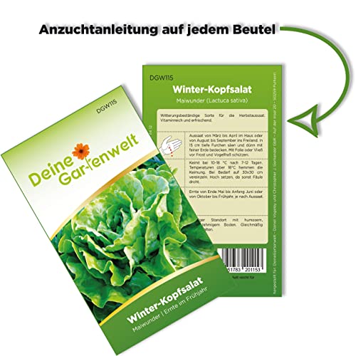 Wintergemüse-Samen Deine Gartenwelt Winter-Kopfsalat
