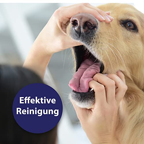 Zahnpflege Hund Canosept Zahnpflegespray für Hunde 100ml