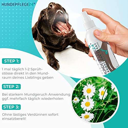 Zahnpflege Hund Hundepflege24 Dentalspray 150ml