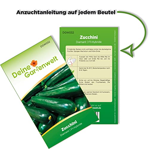 Zucchini-Samen Deine Gartenwelt Zucchini Diamant F1 Samen