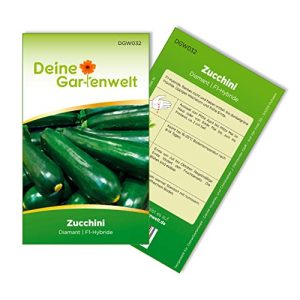 Zucchini-Samen Deine Gartenwelt Zucchini Diamant F1 Samen