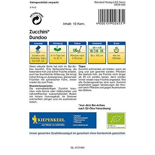 Zucchini-Samen Kiepenkerl Zucchini Dundoo BIO