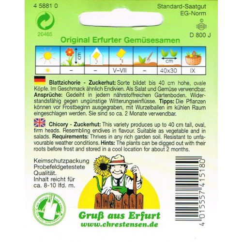 Zuckerhut-Samen Chrestensen Zichoriensalat Schweizer
