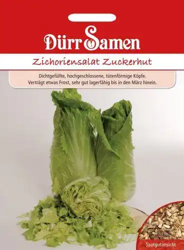 Zuckerhut-Samen Dürr-Samen Dürr Samen 0501 Zichoriensalat