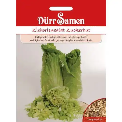Zuckerhut-Samen Dürr-Samen Dürr Samen 0501 Zichoriensalat