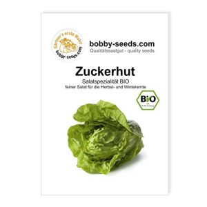Zuckerhut-Samen Gärtner’s erste Wahl! bobby-seeds.com