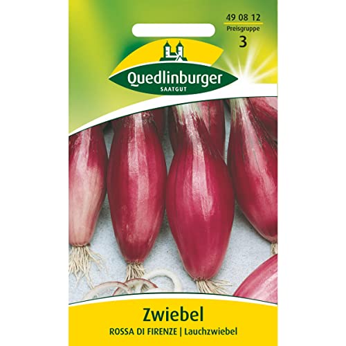 Die beste zwiebelsamen quedlinburger zwiebel rote von florenz Bestsleller kaufen