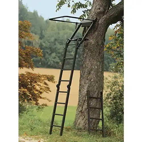 Ansitzleiter Fritzmann Zusammenlegbarer Baumhochsitz, 2,50 m
