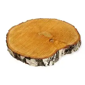 Baumscheibe