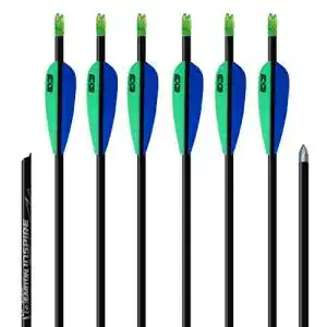 Carbonpfeile Easton 6x Carbonpfeil Bogenpfeil Inspire 750