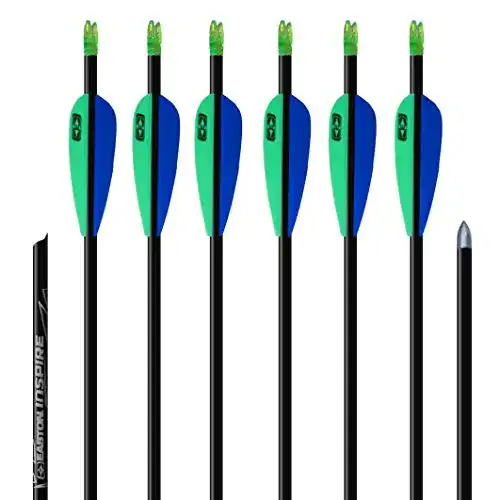 Carbonpfeile Easton 6x Carbonpfeil Bogenpfeil Inspire 750