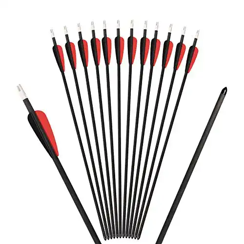 Die beste Carbonpfeile Huntingdoor 6er Pack 24 Zoll für Compoundbogen 2026 Test Bestseller Carbonpfeile Huntingdoor 6er Pack 24 Zoll für Compoundbogen