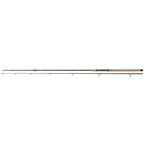 Daiwa-Spinnrute Daiwa Spinnrute Exceler Spin, 2.70m 20-60g