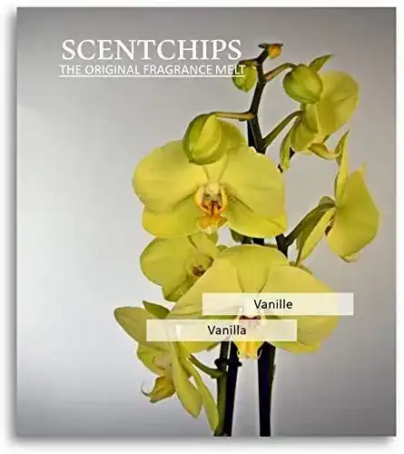 Duftwachs festefeiern-shop.de Feste Feiern Scentchips 12x Vanille