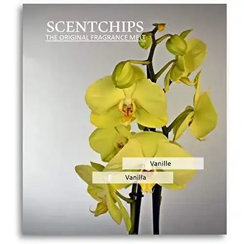 Duftwachs festefeiern-shop.de Feste Feiern Scentchips 12x Vanille