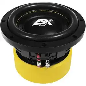 ESX-Subwoofer