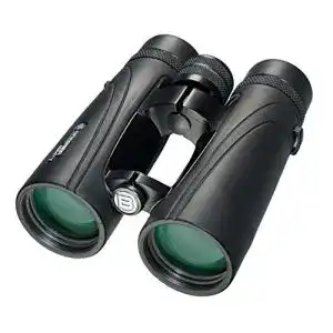 Fernglas 10×42