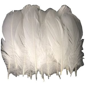 Gänsefedern ERGEOB ® Echte große in Weiß 15-22cm Federnlänge
