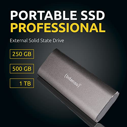 Intenso-Externe-Festplatte Intenso 3825450 Professional, 500GB