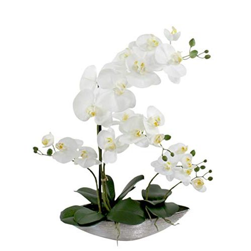 Künstliche Orchidee DARO DEKO glänzend und weiße Blüten 53cm