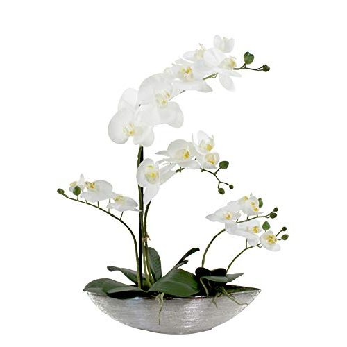 Die beste kuenstliche orchidee daro deko glaenzend und weisse blueten 53cm Bestsleller kaufen