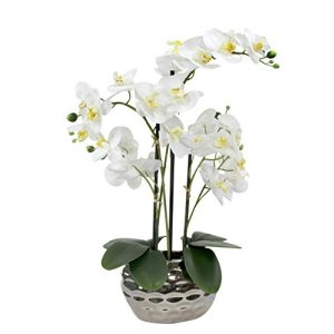 Künstliche Orchidee Decoline Kunstpflanze Orchidee XL