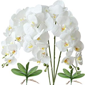 Künstliche Orchidee FagusHome 4 Stück künstliche Phalaenopsis