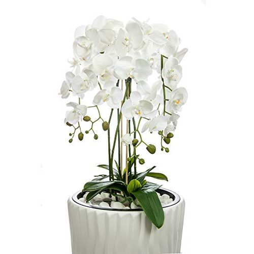 Künstliche Orchidee First n im Hochübertopf, ca. 130cm