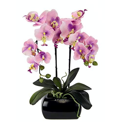 Die beste kuenstliche orchidee flair flower kunstblume schmetterling Bestsleller kaufen