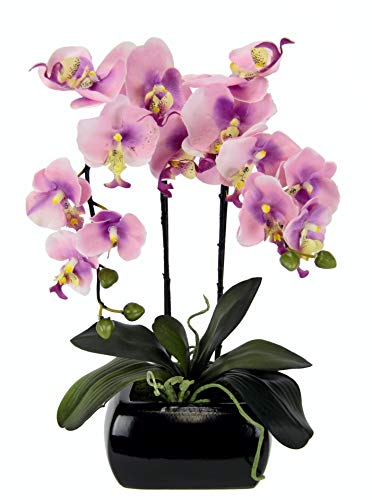 Die beste kuenstliche orchidee flair flower kunstblume schmetterling Bestsleller kaufen
