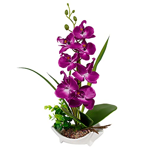 Die beste kuenstliche orchidee renatuhom mit porzellanvase toepfen lila Bestsleller kaufen
