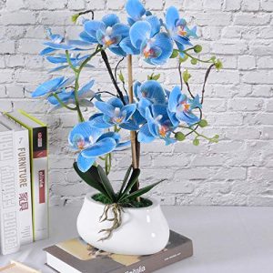 Künstliche Orchidee VIVILINEN Künstliche Blume im Topf
