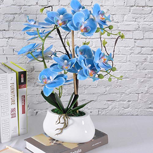 Die beste kuenstliche orchidee vivilinen kuenstliche blume im topf Bestsleller kaufen