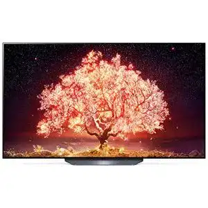 OLED 65 Zoll