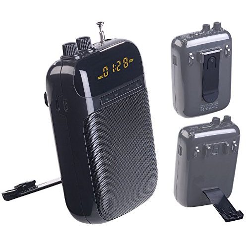 Sprachverstärker auvisio, USB, microSD, akumulator