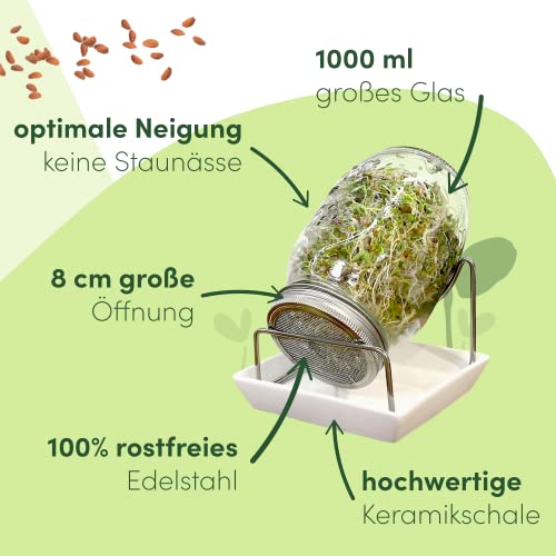 Sprossengläser Green SEEDS Nachhaltiges Sprossenglas