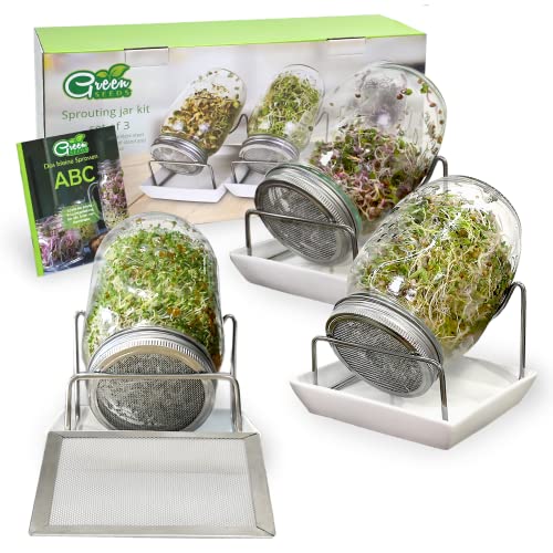 Die beste sprossenglaeser green seeds sprossenglas keimglas 3er set Bestsleller kaufen