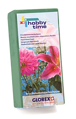 Die beste steckschaum glorex 6 3804 721 fuer frischblumen saugstark Bestsleller kaufen