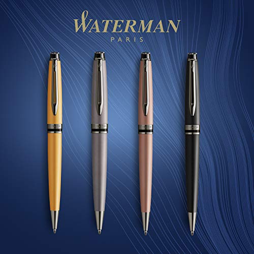 Waterman-Kugelschreiber Waterman Expert, Ruthenium-Zierteile