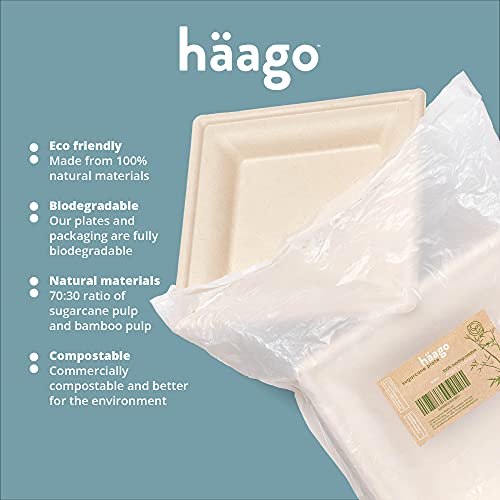 Zuckerrohr-Teller HAAGO 100 Premium Einwegteller, Eckig