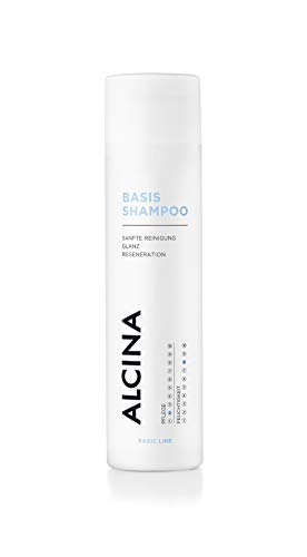 Die beste alcina shampoo alcina basis shampo 250ml mild cremig Bestsleller kaufen