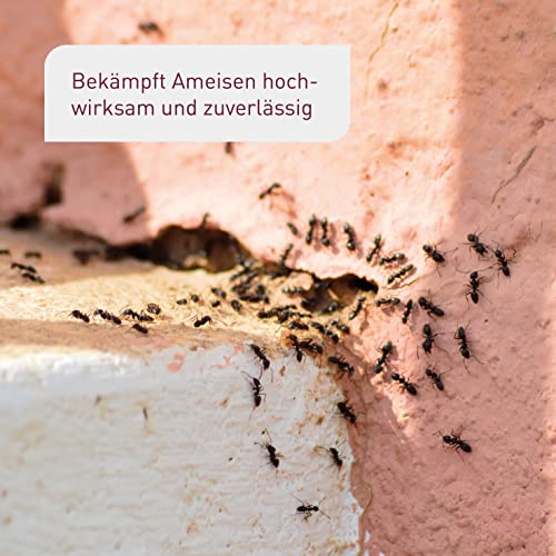 Ameisenstreumittel Plantura Ameisenmittel InsectoSec® 150 g