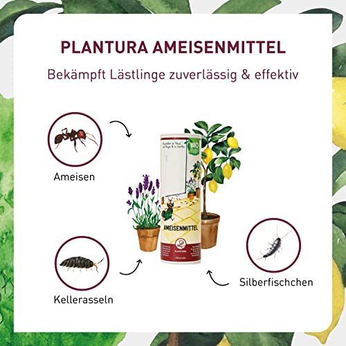 Ameisenstreumittel Plantura Ameisenmittel InsectoSec® 150 g